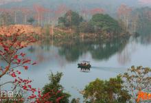 仲夏雨季钓鲫鱼技巧（天气、钓点、钓法、窝饵）