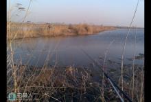 冬日水草边钓鲫鱼技巧