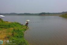 垂钓鲤鱼的六个最佳钓点选择