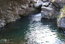 在溪流钓鲫鱼的技巧与钓法