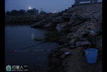 夏秋夜钓鲫鱼的五个技巧