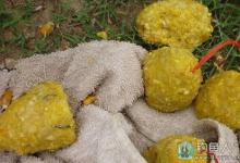 自制3种钓鲢鳙的饵料配方