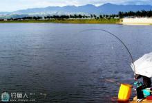 盛夏水草处钓鲫鱼的技巧解析