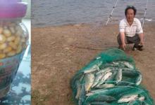 收集钓鱼达人5款实用钓草鱼饵料