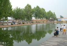 春季钓鲫鱼的技巧（天气、钓场、水域、鱼饵等）