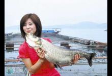 初秋野钓翘嘴如何调漂以及钓法技巧