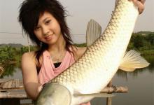 秋季水库钓草鱼饵料选择以及钓鱼技巧