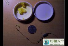 冬季长竿短线传统钓法米饭作饵钓鲫鱼分享