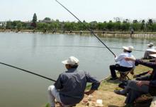 全国降温起大风，三招技巧风解决钓鱼问题