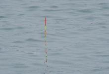 野钓遇小鱼闹窝，如何从调漂上解决？