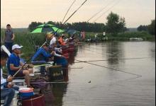 坑塘钓鱼如何变通，快速诱鱼、抢鱼、留鱼、控制鱼层