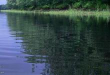 台钓鲫鱼的打窝以及垂钓技巧