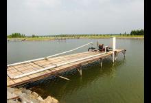 黑坑放鱼密度与作钓位置的必修课