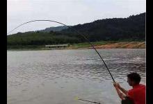 遛鱼需要注意的事项及小技巧