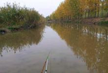 深秋野钓，重在选窝