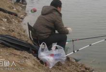 钓鱼高手分析如何钓野鲫鱼的技巧