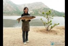 秋季使用蚂蚱、蟋蟀、蚯蚓等钓大草鱼的技巧