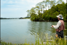 七个动作，让你的遛鱼技巧满分