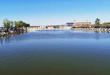 黑坑钓鱼为了渔获，为什么钓鱼人的脸面都被丢尽了