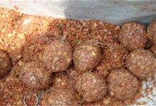 教你四大技巧，应对鱼儿不吃饵的问题