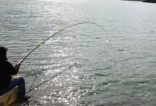 野钓黑坑池塘钓鱼的3招钓位技巧