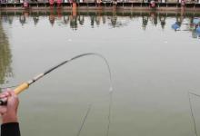 遇到任何漂相都应该提竿吗？做到适时放口更好