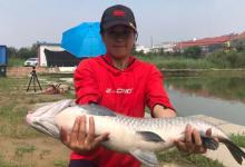 黑坑钓青鱼钓位该如何选择？应因地制宜根据鱼情变化