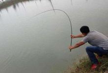 老钓友分享遛鱼四字真言，想上大物四点很关键