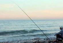 台钓小鱼闹窝？老师傅给你几招让你轻松对付