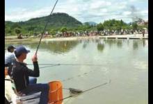 黑坑钓鱼什么时候最合适？