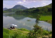 如何避免小鱼闹窝的技巧全解