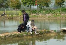 高温天钓鱼遇杂鱼捣乱，用这几招可轻松应对