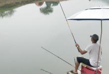 野钓鲫鱼的三种钓法技巧，首次试用就爆护