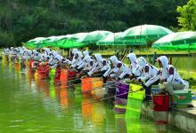 鱼塘钓鱼没那么简单，细讲抢鱼糗鱼钓法钓技