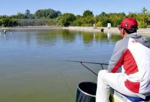 黑坑钓鱼应该懂的8个小常识