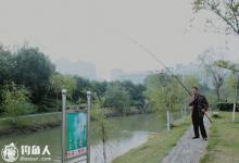 根据天气水情选择钓点及投饵的技巧