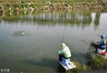 巧妙应对滑口鱼的用饵作钓策略