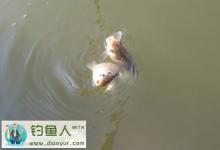 在江河水库钓鲫鱼时如何选择钓位