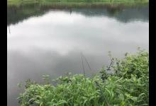 提竿不中鱼究竟有哪些方面的原因？