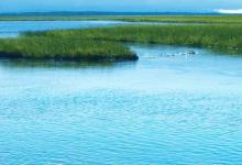 串钩钓鲫鱼的一些钓法技巧