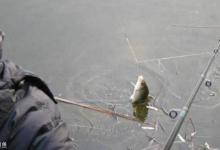 不想脱钩跑鱼？快来看看怎么正确用鱼钩吧