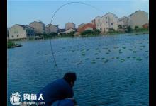 提竿跑鱼的原因和遛鱼的技巧