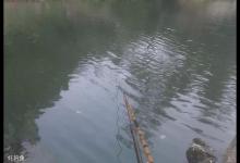 三种按照鱼类活动规律选钓点的技巧