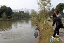 传统钓立漂卧钩底钓法如何看漂的技巧