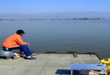 立漂双钩、七星漂、双钩钓、单钩钓，到底哪种适合我