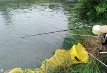 资深钓鱼人回答中鱼易脱钩的原因