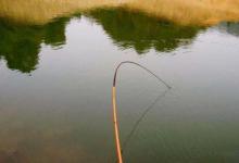 钓大物最不该败在这4个细节上，不然线组在粗也会被切