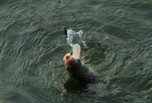 野钓选择钓位，这几个地方千万不能选