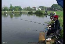 四季钓鱼怎么选择钓位？老钓友15年经验整理