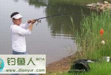 到底是飞钩(爆炸钩)钓鲢鳙还是手竿钓鲢鳙分享